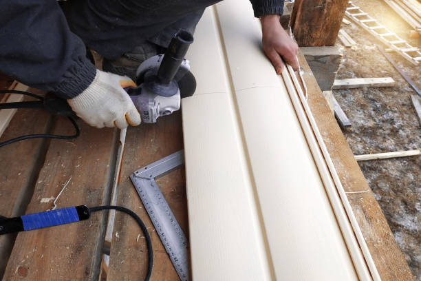Best Historical Building Siding Restoration  in Eldersburg, MD